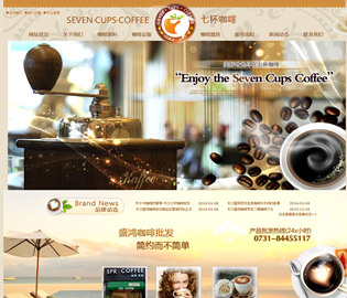 七杯咖啡营销型网站案例展示